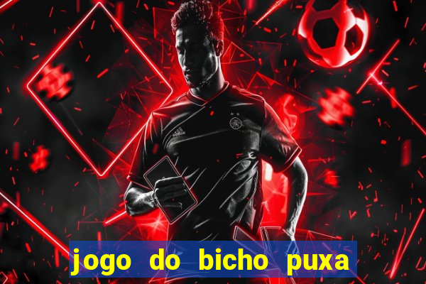 jogo do bicho puxa de dona maria